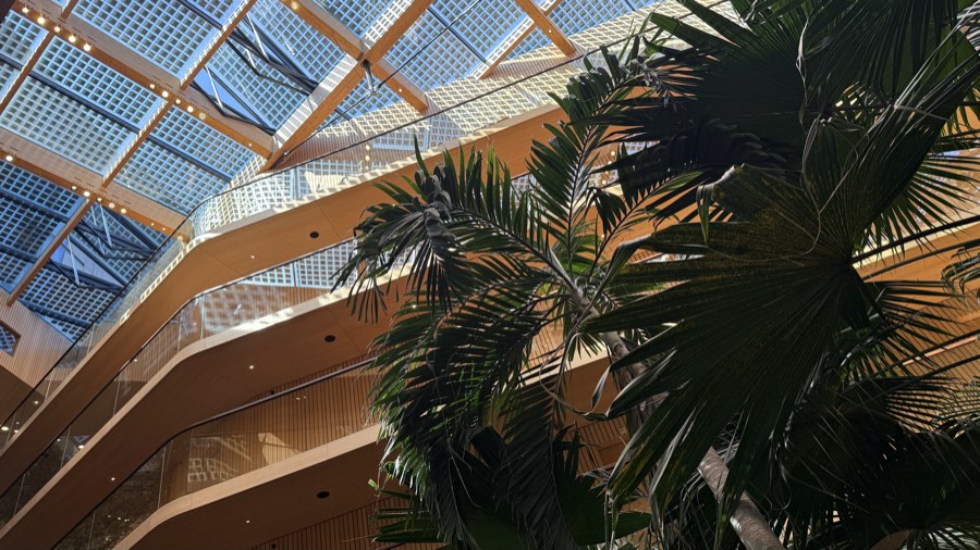 Timber atrium and glazed roof above the indoor garden