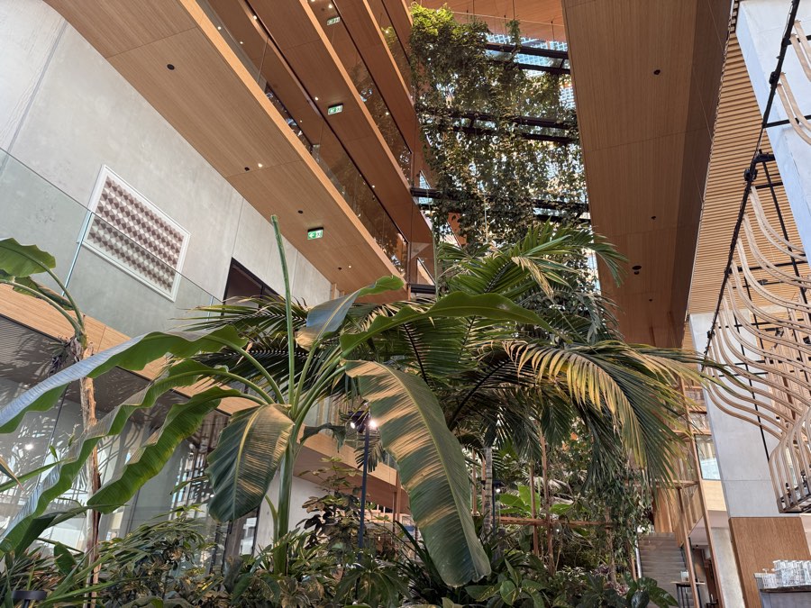 Timber galleries rising above the planting