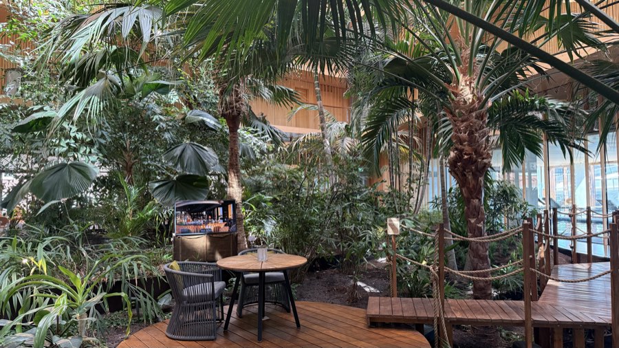 Palms and a bistro table on the garden deck